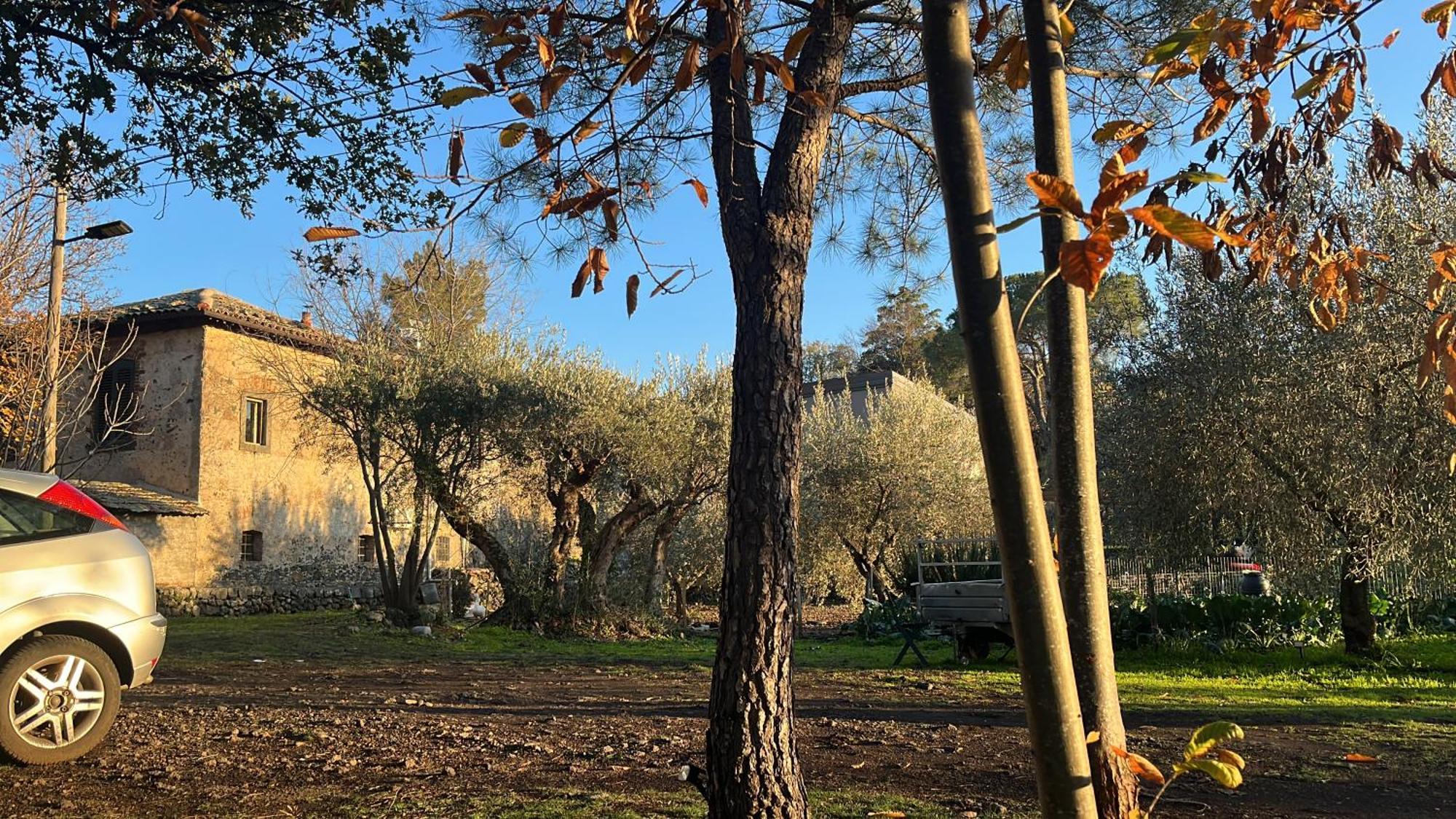 Holiday home Poggio Roseto