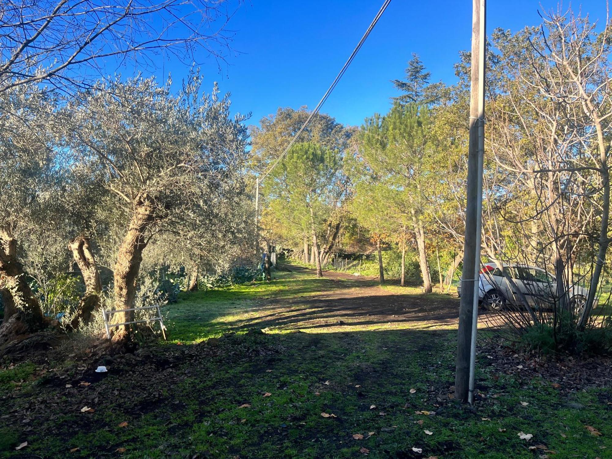 Poggio Roseto Holiday home *