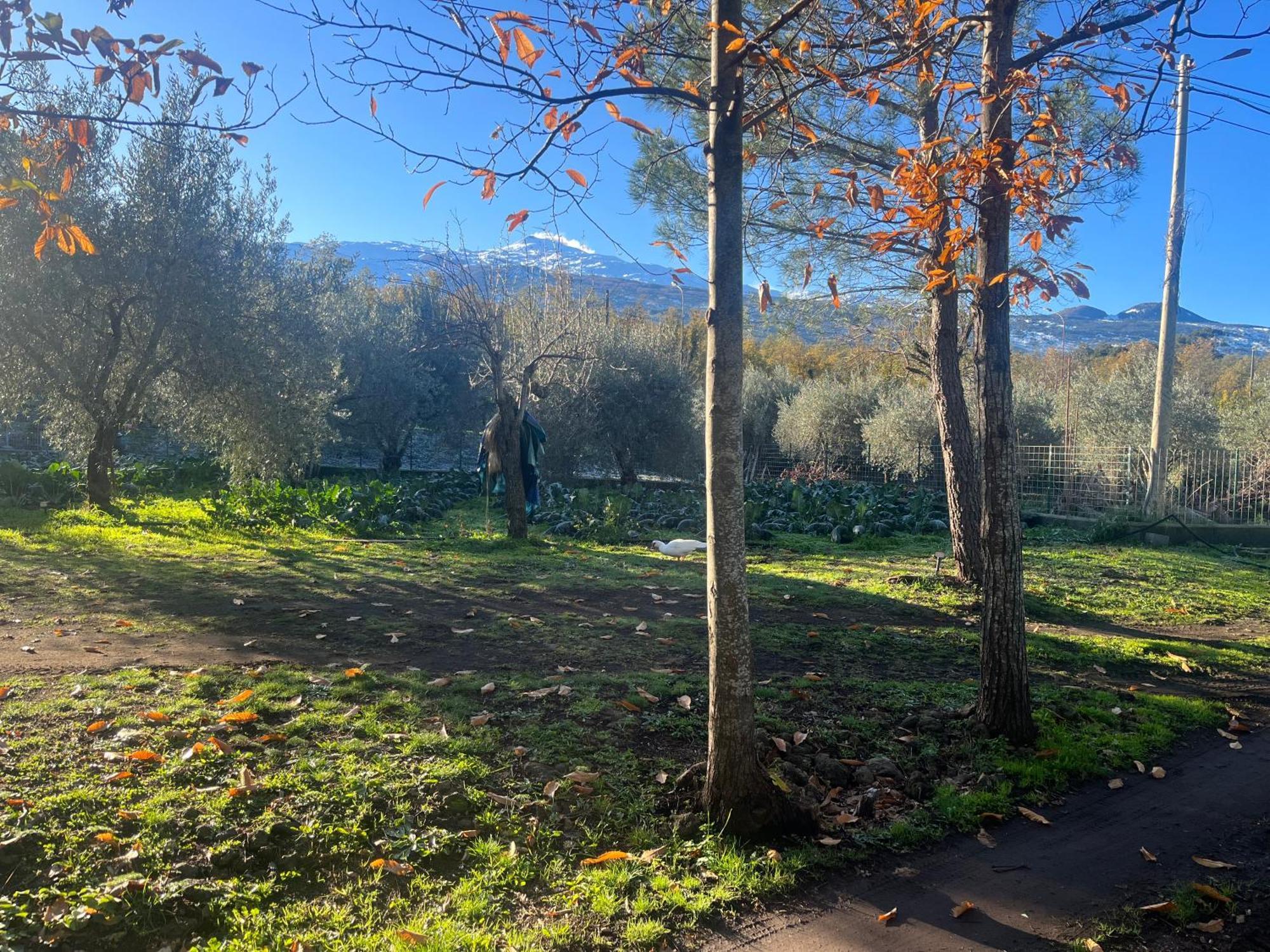 Holiday home Poggio Roseto Randazzo