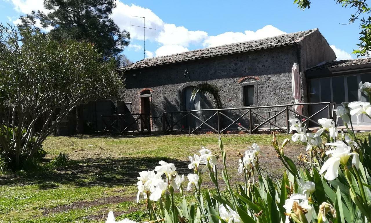 Poggio Roseto Holiday home