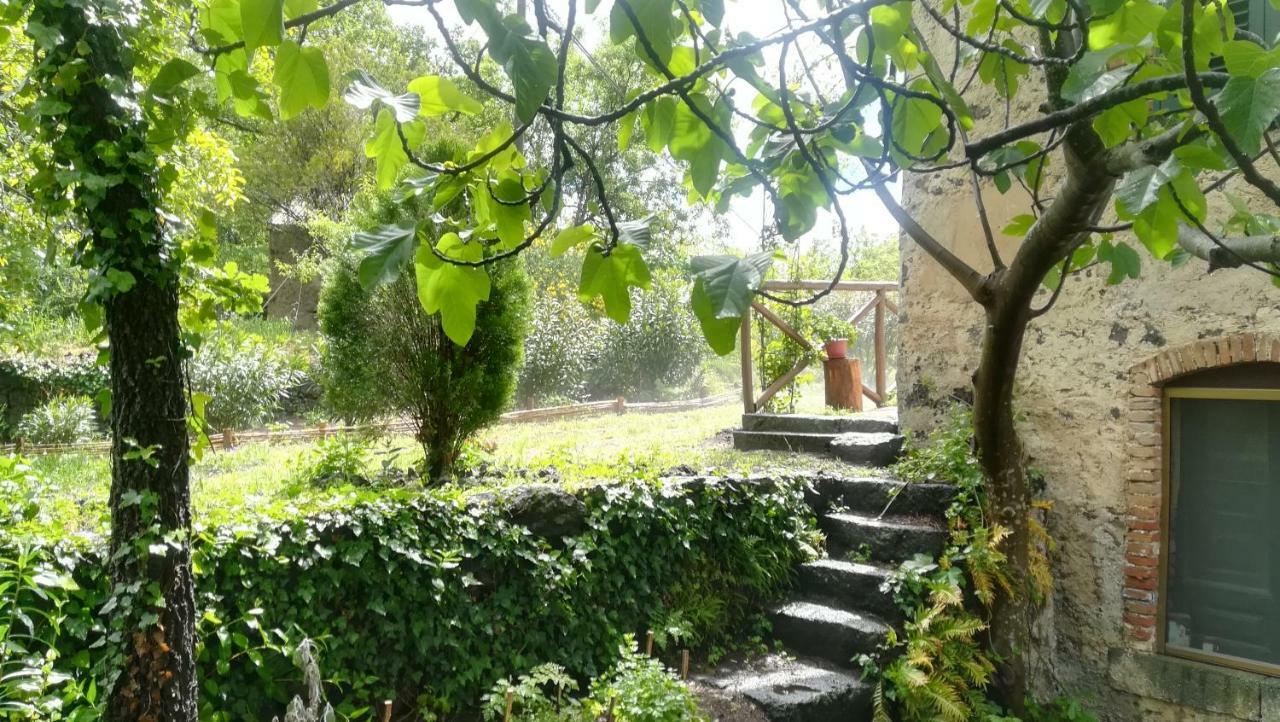 Poggio Roseto Holiday home *